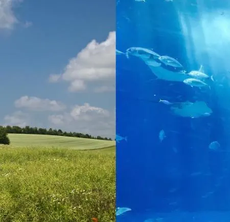 Studio-cosy 5 アパート